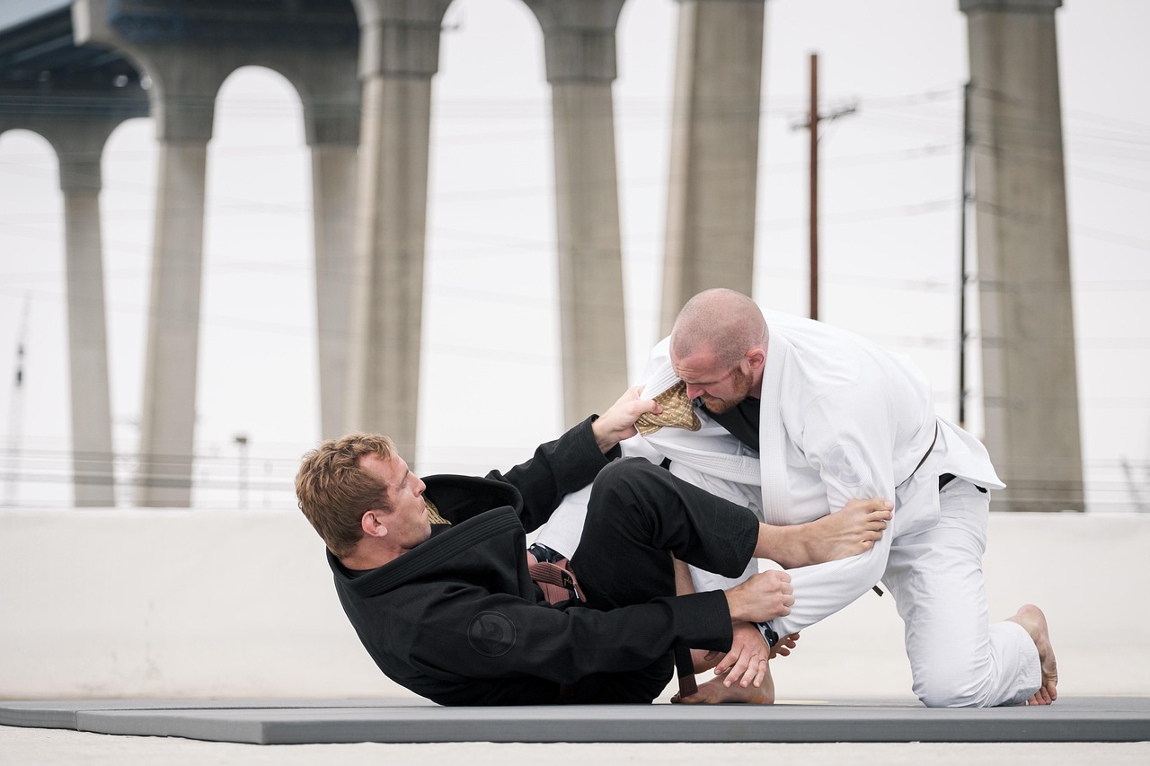 FightForce – Sports de Combat et Carnet MMA